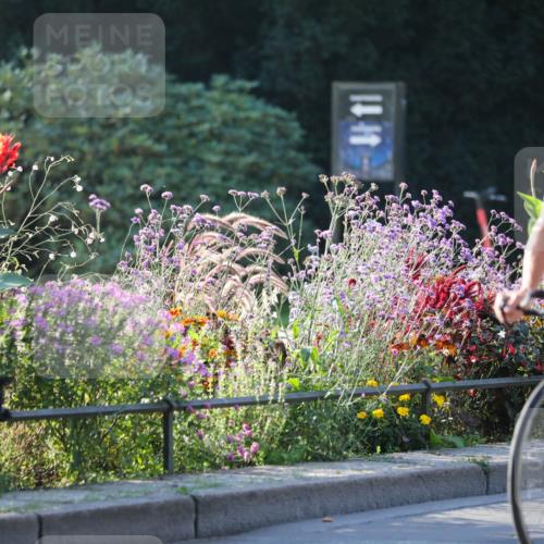 08.09.2024 - Stadtparktriathlon Zöllner http://msf.ph/oto/7014033 08.09.2024 09:16:56 Radfahren 57, 121, 133 meine-sportfotos.de
