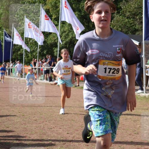 08.09.2024 - Airport Race Strokosch-Dieckow http://msf.ph/oto/7014050 08.09.2024 11:30:49 Ziel 1715, 1718, 1729, 1764, 1870, 1908, 1915, 3401 meine-sportfotos.de