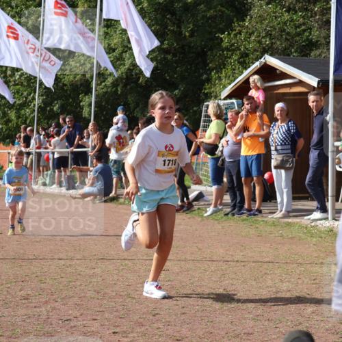 08.09.2024 - Airport Race Strokosch-Dieckow http://msf.ph/oto/7014072 08.09.2024 11:30:49 Ziel 1715, 1718, 1729, 1764, 1870, 1908, 1915, 3401 meine-sportfotos.de