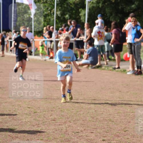 08.09.2024 - Airport Race Strokosch-Dieckow http://msf.ph/oto/7014148 08.09.2024 11:30:51 Ziel 1718, 1729, 1764, 1767, 1870, 1908, 1915, 3401 meine-sportfotos.de