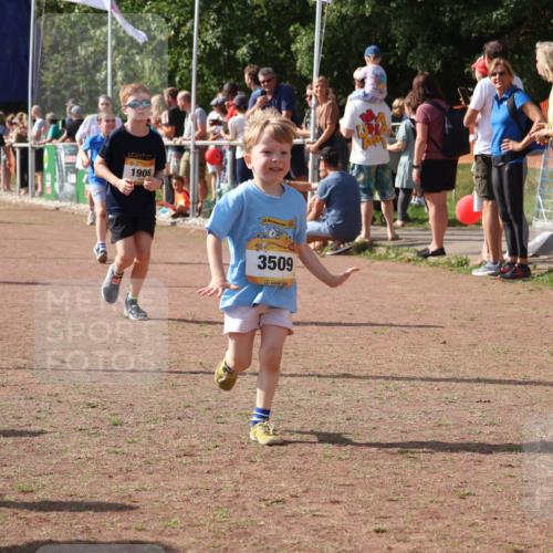 08.09.2024 - Airport Race Strokosch-Dieckow http://msf.ph/oto/7014169 08.09.2024 11:30:51 Ziel 1718, 1729, 1764, 1767, 1870, 1908, 1915, 3401 meine-sportfotos.de