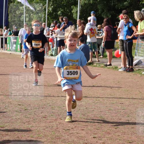 08.09.2024 - Airport Race Strokosch-Dieckow http://msf.ph/oto/7014195 08.09.2024 11:30:52 Ziel 1718, 1764, 1767, 1870, 1908, 1915, 3401 meine-sportfotos.de