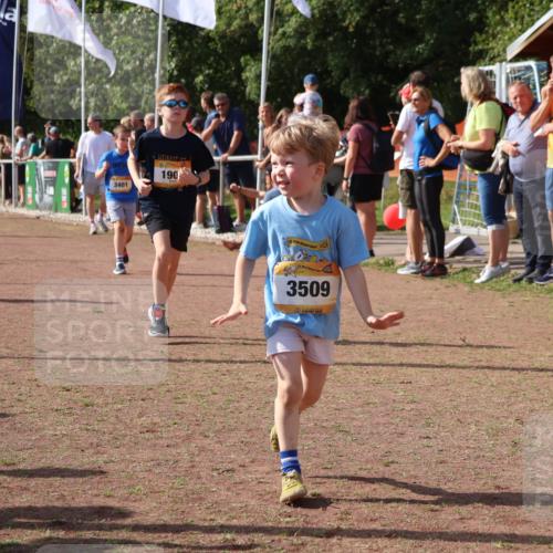 08.09.2024 - Airport Race Strokosch-Dieckow http://msf.ph/oto/7014219 08.09.2024 11:30:52 Ziel 1718, 1764, 1767, 1870, 1908, 1915, 3401 meine-sportfotos.de