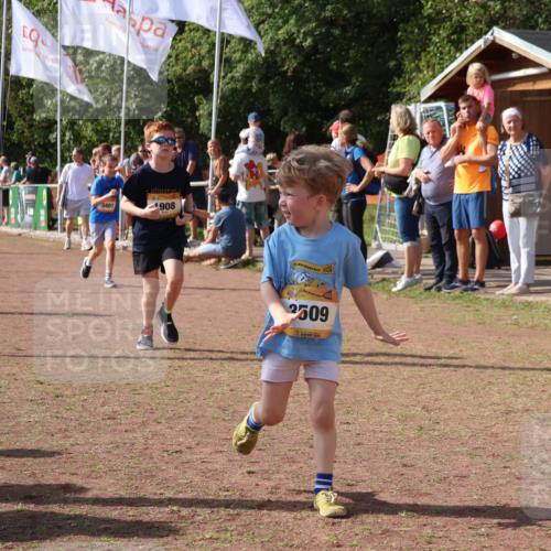 08.09.2024 - Airport Race Strokosch-Dieckow http://msf.ph/oto/7014236 08.09.2024 11:30:52 Ziel 1718, 1764, 1767, 1870, 1908, 1915, 3401 meine-sportfotos.de