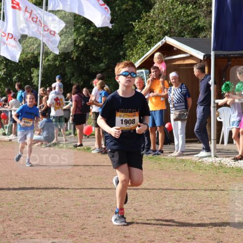 08.09.2024 - Airport Race Strokosch-Dieckow http://msf.ph/oto/7014287 08.09.2024 11:30:54 Ziel 1671, 1764, 1767, 1870, 1908, 1915, 3401 meine-sportfotos.de