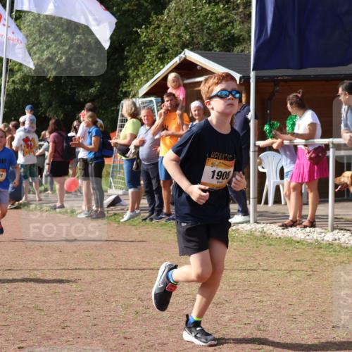 08.09.2024 - Airport Race Strokosch-Dieckow http://msf.ph/oto/7014309 08.09.2024 11:30:54 Ziel 1671, 1764, 1767, 1870, 1908, 1915, 3401 meine-sportfotos.de