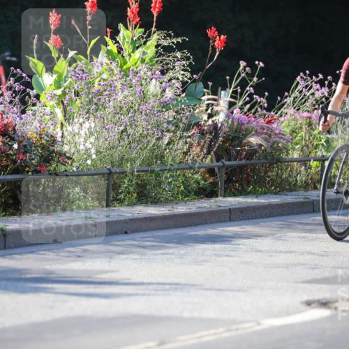 08.09.2024 - Stadtparktriathlon Zöllner http://msf.ph/oto/7014325 08.09.2024 09:18:17 Radfahren 60, 61, 124, 140, 144, 167 meine-sportfotos.de