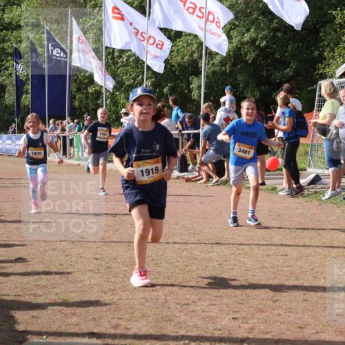 08.09.2024 - Airport Race Strokosch-Dieckow http://msf.ph/oto/7014326 08.09.2024 11:30:55 Ziel 1671, 1764, 1767, 1870, 1908, 1915, 3401 meine-sportfotos.de