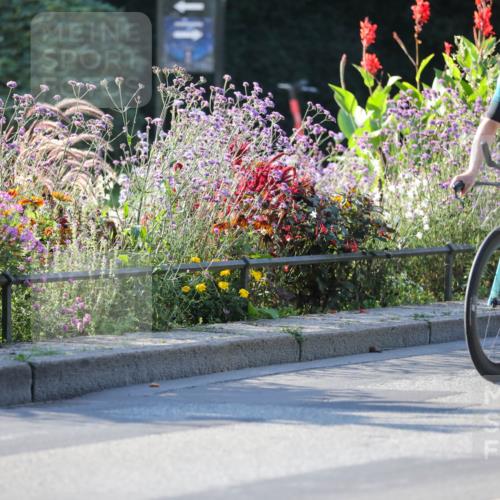 08.09.2024 - Stadtparktriathlon Zöllner http://msf.ph/oto/7014350 08.09.2024 09:18:23 Radfahren 124, 151, 159, 167 meine-sportfotos.de