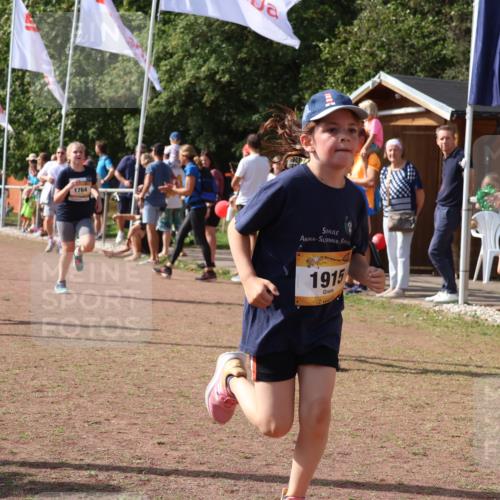 08.09.2024 - Airport Race Strokosch-Dieckow http://msf.ph/oto/7014374 08.09.2024 11:30:56 Ziel 1671, 1764, 1767, 1870, 1908, 1915, 3401 meine-sportfotos.de