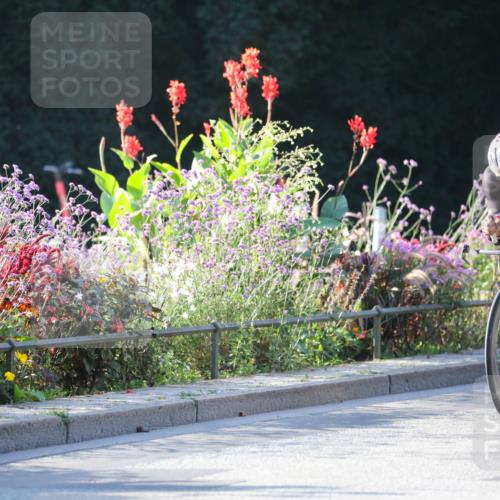 08.09.2024 - Stadtparktriathlon Zöllner http://msf.ph/oto/7014393 08.09.2024 09:19:01 Radfahren 82, 88, 92, 106, 138, 173 meine-sportfotos.de