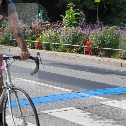 08.09.2024 - Stadtparktriathlon Zöllner http://msf.ph/oto/7014470 08.09.2024 12:16:16 Radfahren 717, 736, 839 meine-sportfotos.de