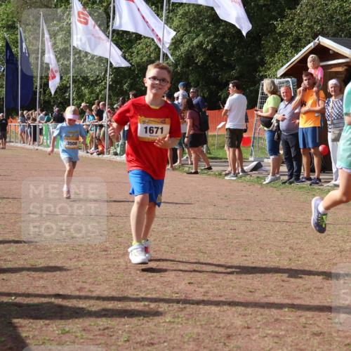 08.09.2024 - Airport Race Strokosch-Dieckow http://msf.ph/oto/7014482 08.09.2024 11:31:00 Ziel 1671, 1680, 1683, 1764, 1767, 1850, 1870, 3401 meine-sportfotos.de