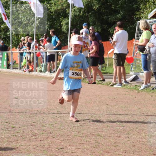 08.09.2024 - Airport Race Strokosch-Dieckow http://msf.ph/oto/7014503 08.09.2024 11:31:02 Ziel 1623, 1671, 1680, 1683, 1767, 1850 meine-sportfotos.de