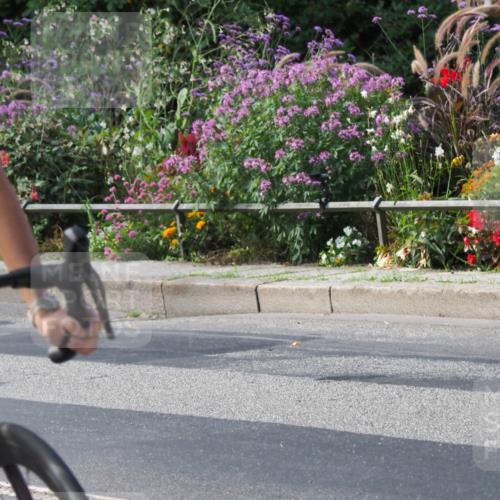 08.09.2024 - Stadtparktriathlon Zöllner http://msf.ph/oto/7014513 08.09.2024 12:16:31 Radfahren 709, 735, 915 meine-sportfotos.de