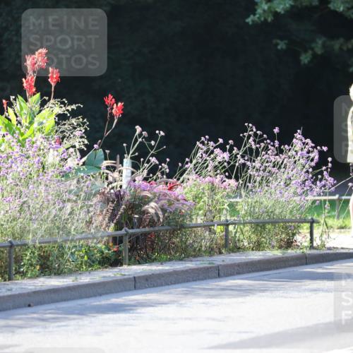 08.09.2024 - Stadtparktriathlon Zöllner http://msf.ph/oto/7014515 08.09.2024 09:19:56 Radfahren 91, 102, 105, 110, 126, 155, 158, 175 meine-sportfotos.de