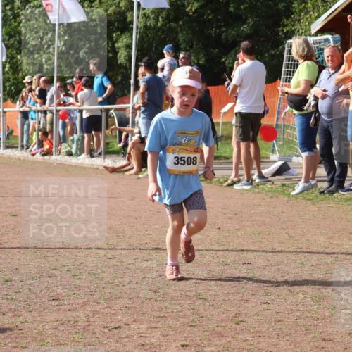 08.09.2024 - Airport Race Strokosch-Dieckow http://msf.ph/oto/7014520 08.09.2024 11:31:02 Ziel 1623, 1671, 1680, 1683, 1767, 1850 meine-sportfotos.de