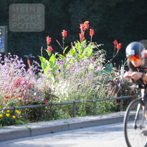 08.09.2024 - Stadtparktriathlon Zöllner http://msf.ph/oto/7014531 08.09.2024 09:19:57 Radfahren 91, 102, 105, 110, 126, 155, 158, 175 meine-sportfotos.de