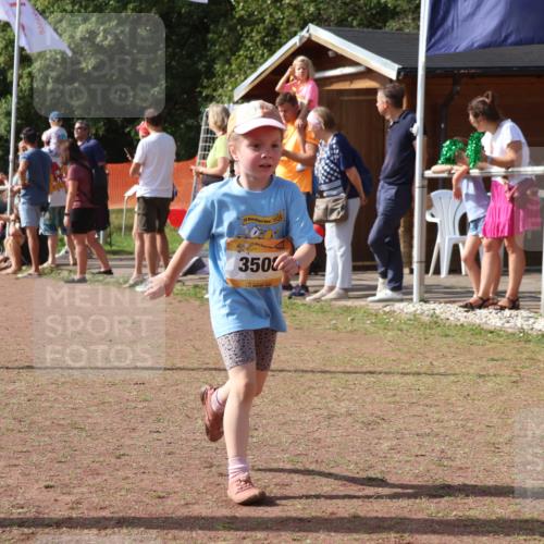 08.09.2024 - Airport Race Strokosch-Dieckow http://msf.ph/oto/7014536 08.09.2024 11:31:03 Ziel 1623, 1671, 1680, 1683, 1767, 1850 meine-sportfotos.de