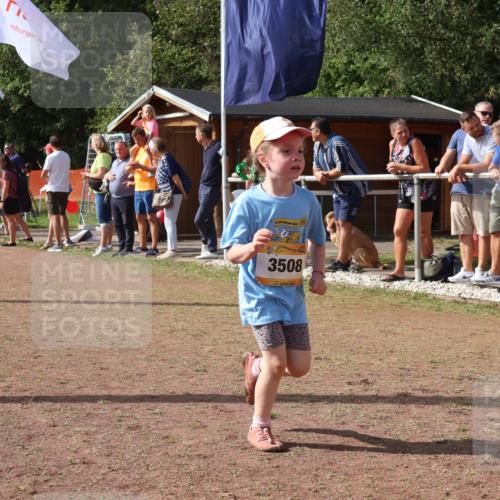 08.09.2024 - Airport Race Strokosch-Dieckow http://msf.ph/oto/7014583 08.09.2024 11:31:04 Ziel 1623, 1671, 1680, 1683, 1850 meine-sportfotos.de