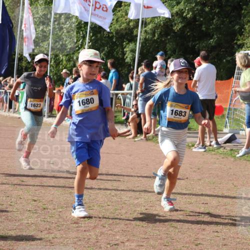 08.09.2024 - Airport Race Strokosch-Dieckow http://msf.ph/oto/7014597 08.09.2024 11:31:08 Ziel 1623, 1680, 1683, 1692, 1850 meine-sportfotos.de