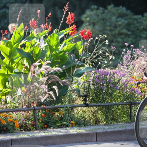 08.09.2024 - Stadtparktriathlon Zöllner http://msf.ph/oto/7014612 08.09.2024 09:20:34 Radfahren 145, 165 meine-sportfotos.de
