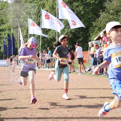 08.09.2024 - Airport Race Strokosch-Dieckow http://msf.ph/oto/7014671 08.09.2024 11:31:10 Ziel 1623, 1680, 1683, 1692, 1850, 3403 meine-sportfotos.de