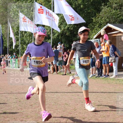 08.09.2024 - Airport Race Strokosch-Dieckow http://msf.ph/oto/7014692 08.09.2024 11:31:10 Ziel 1623, 1680, 1683, 1692, 1850, 3403 meine-sportfotos.de