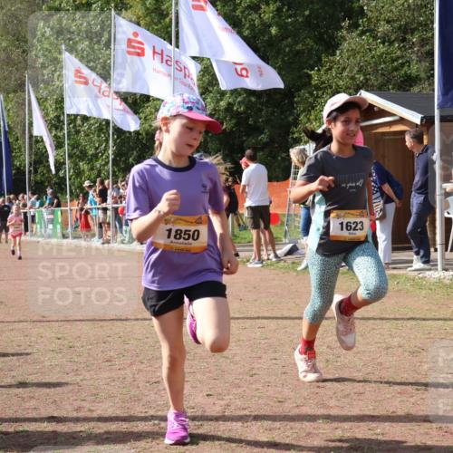 08.09.2024 - Airport Race Strokosch-Dieckow http://msf.ph/oto/7014709 08.09.2024 11:31:10 Ziel 1623, 1680, 1683, 1692, 1850, 3403 meine-sportfotos.de