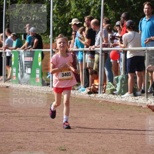 08.09.2024 - Airport Race Strokosch-Dieckow http://msf.ph/oto/7014725 08.09.2024 11:31:13 Ziel 1623, 1676, 1692, 3403 meine-sportfotos.de