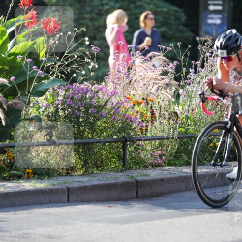 08.09.2024 - Stadtparktriathlon Zöllner http://msf.ph/oto/7014813 08.09.2024 09:22:11 Radfahren 99, 154 meine-sportfotos.de