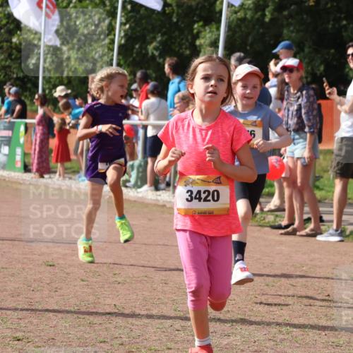 08.09.2024 - Airport Race Strokosch-Dieckow http://msf.ph/oto/7014815 08.09.2024 11:31:19 Ziel 1670, 1676, 1692, 1853, 3403, 3420 meine-sportfotos.de