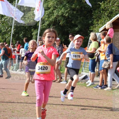 08.09.2024 - Airport Race Strokosch-Dieckow http://msf.ph/oto/7014829 08.09.2024 11:31:20 Ziel 1670, 1676, 1692, 1853, 3403, 3420 meine-sportfotos.de