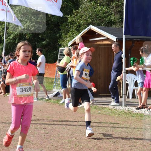 08.09.2024 - Airport Race Strokosch-Dieckow http://msf.ph/oto/7014846 08.09.2024 11:31:20 Ziel 1670, 1676, 1692, 1853, 3403, 3420 meine-sportfotos.de