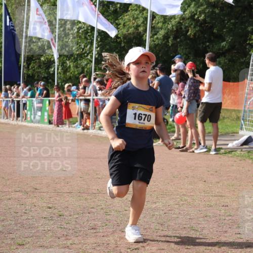 08.09.2024 - Airport Race Strokosch-Dieckow http://msf.ph/oto/7014878 08.09.2024 11:31:22 Ziel 1670, 1676, 1853, 3403, 3420 meine-sportfotos.de