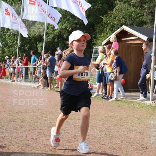 08.09.2024 - Airport Race Strokosch-Dieckow http://msf.ph/oto/7014895 08.09.2024 11:31:23 Ziel 1670, 1676, 1853, 3420 meine-sportfotos.de