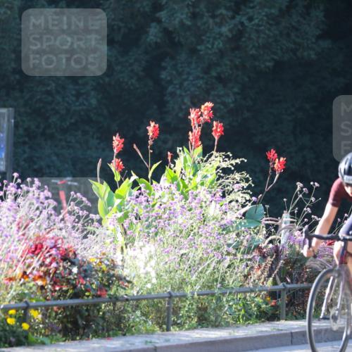 08.09.2024 - Stadtparktriathlon Zöllner http://msf.ph/oto/7014974 08.09.2024 09:25:00 Radfahren 92, 106, 140, 144, 151 meine-sportfotos.de