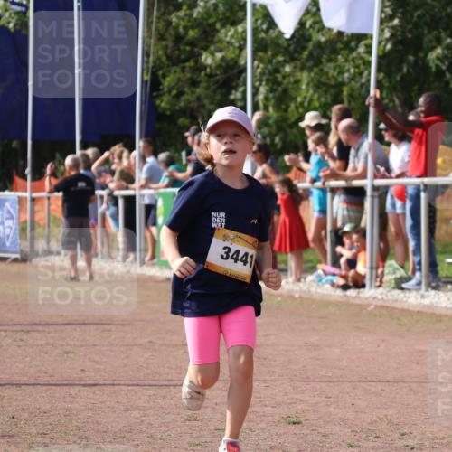 08.09.2024 - Airport Race Strokosch-Dieckow http://msf.ph/oto/7014978 08.09.2024 11:31:35 Ziel 1603, 1675, 1880, 3418, 3441 meine-sportfotos.de