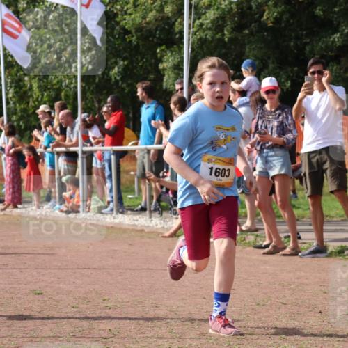 08.09.2024 - Airport Race Strokosch-Dieckow http://msf.ph/oto/7015105 08.09.2024 11:31:39 Ziel 1603, 1675, 1880, 3418, 3441 meine-sportfotos.de