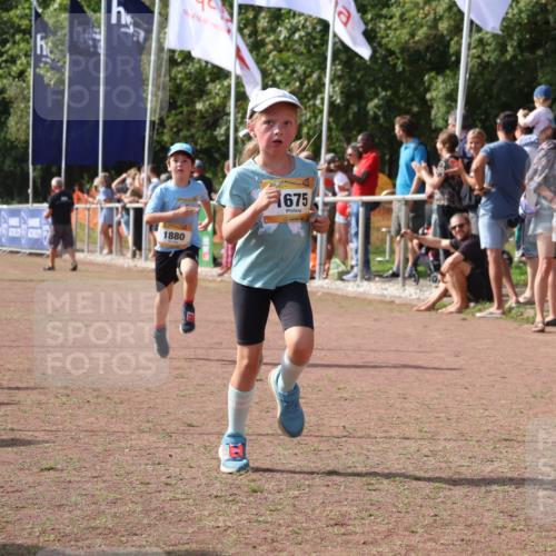 08.09.2024 - Airport Race Strokosch-Dieckow http://msf.ph/oto/7015152 08.09.2024 11:31:40 Ziel 1603, 1675, 1880, 3418, 3441 meine-sportfotos.de