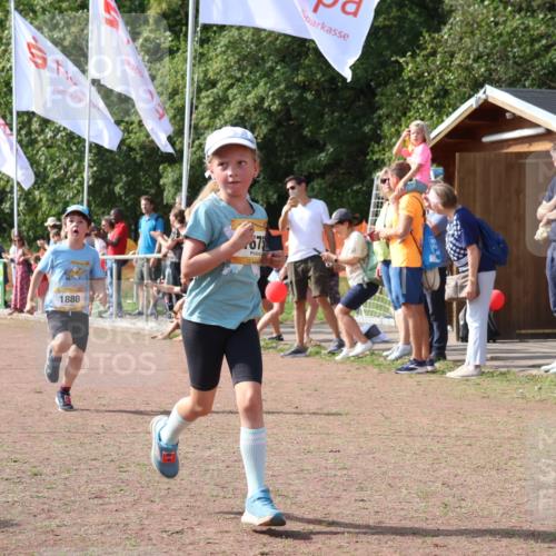 08.09.2024 - Airport Race Strokosch-Dieckow http://msf.ph/oto/7015171 08.09.2024 11:31:41 Ziel 1603, 1675, 1880, 3418 meine-sportfotos.de