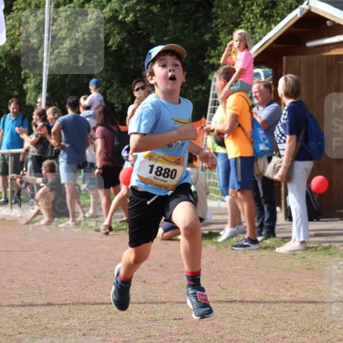 08.09.2024 - Airport Race Strokosch-Dieckow http://msf.ph/oto/7015189 08.09.2024 11:31:42 Ziel 1603, 1675, 1700, 1880 meine-sportfotos.de