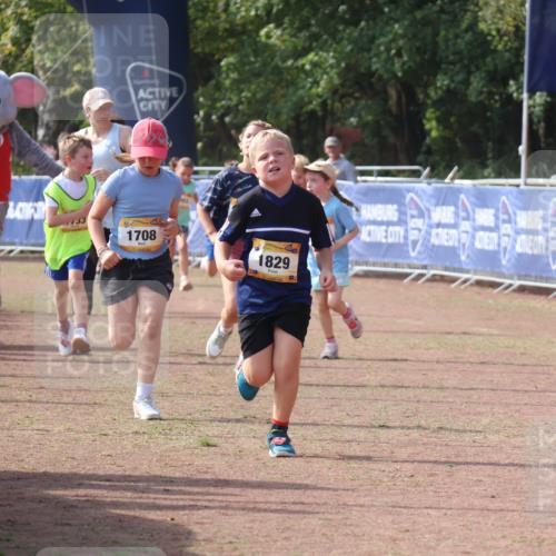 08.09.2024 - Airport Race Strokosch-Dieckow http://msf.ph/oto/7015301 08.09.2024 11:31:52 Ziel 1700, 1704, 1708, 1829, 3413 meine-sportfotos.de