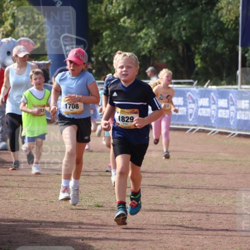 08.09.2024 - Airport Race Strokosch-Dieckow http://msf.ph/oto/7015315 08.09.2024 11:31:53 Ziel 1700, 1704, 1708, 1829, 3413 meine-sportfotos.de