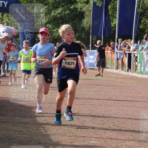 08.09.2024 - Airport Race Strokosch-Dieckow http://msf.ph/oto/7015336 08.09.2024 11:31:55 Ziel 1664, 1704, 1708, 1829, 3413 meine-sportfotos.de