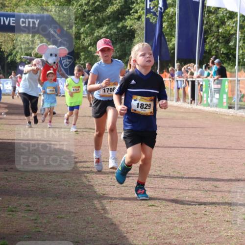 08.09.2024 - Airport Race Strokosch-Dieckow http://msf.ph/oto/7015385 08.09.2024 11:31:56 Ziel 1664, 1666, 1704, 1708, 1733, 1829, 3413 meine-sportfotos.de