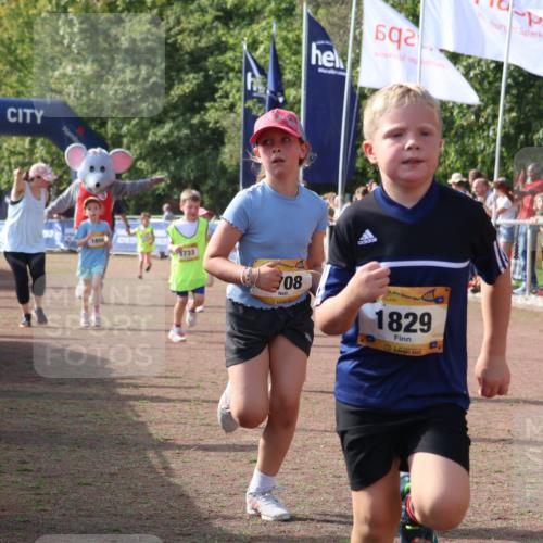 08.09.2024 - Airport Race Strokosch-Dieckow http://msf.ph/oto/7015476 08.09.2024 11:31:57 Ziel 1664, 1666, 1704, 1708, 1733, 1803, 1829, 1856, 3413 meine-sportfotos.de