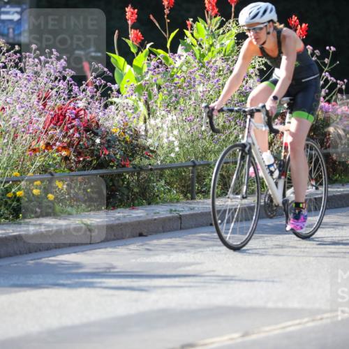 08.09.2024 - Stadtparktriathlon Zöllner http://msf.ph/oto/7015483 08.09.2024 09:28:11 Radfahren 107, 162, 163, 166 meine-sportfotos.de