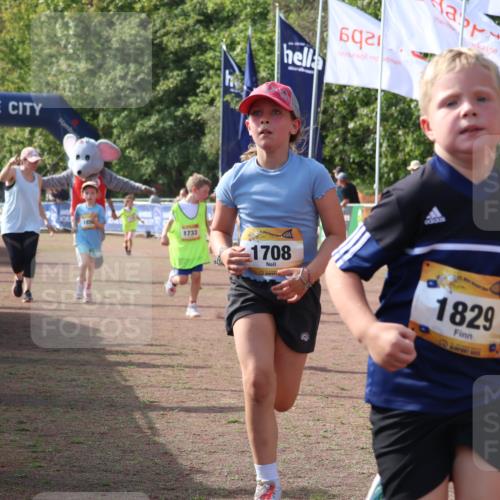 08.09.2024 - Airport Race Strokosch-Dieckow http://msf.ph/oto/7015500 08.09.2024 11:31:58 Ziel 1664, 1666, 1704, 1708, 1733, 1803, 1829, 1856, 3413 meine-sportfotos.de