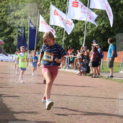 08.09.2024 - Airport Race Strokosch-Dieckow http://msf.ph/oto/7015536 08.09.2024 11:31:59 Ziel 1664, 1666, 1704, 1708, 1733, 1803, 1829, 1856, 3413 meine-sportfotos.de